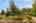 Blurred preview of media: 1-1