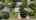 Blurred preview of media: Aerial-1