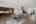 Blurred preview of media: 009