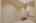 Blurred preview of media: DSC05593
