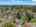 Blurred preview of media: 1-37