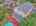 Blurred preview of media: 20251002203526993614000000-o