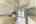 Blurred preview of media: 017