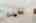 Blurred preview of media: Nerine_115