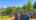 Blurred preview of media: IMG_9972