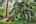 Blurred preview of media: IMG_3150_1_2_easyHDR