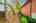 Blurred preview of media: 89 Lloyminn Ave, Ancaster _ Nathan ferro75