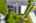 Blurred preview of media: iPixx_10_13