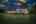 Blurred preview of media: Flowers 2 Image Mar 30, 2026 at 05_16_07 PM