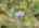 Blurred preview of media: 90 Frye Road Bolton Massachusetts Job 38664 0088