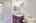 Blurred preview of media: iPixx_01_58