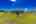 Blurred preview of media: iPixx_02_2