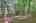 Blurred preview of media: IMG_4643_4_5_easyHDR