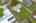 Blurred preview of media: iPixx_10_12