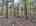 Blurred preview of media: DJI_20260505134006_0805_D_6_0806_D_7_0807_D_easyHDR