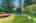 Blurred preview of media: 1-34