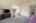 Blurred preview of media: 1-5