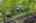 Blurred preview of media: SW Boundary st-51