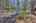 Blurred preview of media: IMG_9754_5_6_easyHDR