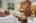 Blurred preview of media: 1 Heather Hill Road Acton Massachusetts Job 40014 0034