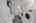Blurred preview of media: DSC02105