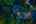Blurred preview of media: 4Sept0028