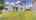 Blurred preview of media: ipixx-98