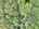 Blurred preview of media: DJI_20250602145352_0604_D_5_D_6_D_easyHDR