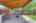Blurred preview of media: 260140-35a