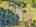 Blurred preview of media: Sky Tour-37