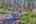 Blurred preview of media: IMG_9757_8_9_easyHDR