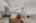 Blurred preview of media: 6763 West Summer Breeze-7