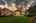 Blurred preview of media: 1-104