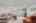 Blurred preview of media: 4 Bobby Jones Drive unit 4 Andover Massachusetts Job 40733 0022