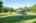 Blurred preview of media: IMG_0282