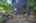 Blurred preview of media: 10