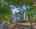 Blurred preview of media: 850_2731