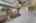 Blurred preview of media: DSC01344