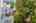 Blurred preview of media: 1-53