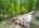 Blurred preview of media: 2-726-0004
