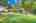 Blurred preview of media: 2-926-0399