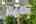 Blurred preview of media: 104