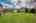Blurred preview of media: 047