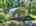 Blurred preview of media: DJI_20260829152705_0429_D_30_D_31_D_easyHDR