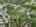 Blurred preview of media: DJI_20260723164550_0031_D-Edit