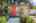 Blurred preview of media: 1-38