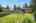 Blurred preview of media: 0_CLS_9067