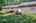 Blurred preview of media: IMG_1645_6_7_easyHDR