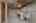 Blurred preview of media: 260110-44
