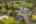 Blurred preview of media: 1-70